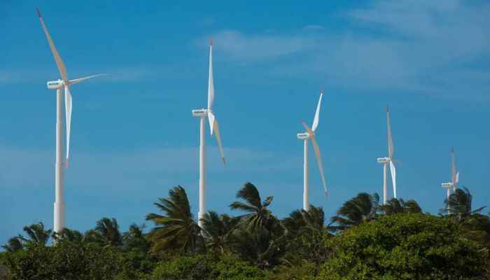  Brasil bate recorde de geração de energia eólica em novembro 